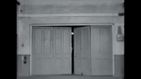 Black And White Film GIF by deathwishinc
