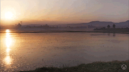 Rice Paddy Sunset GIF by Xbox