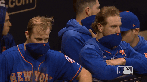 high five home run GIF by New York Mets