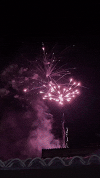 Happy New Year GIF by Robert E Blackmon