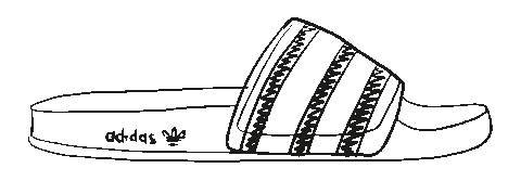 Whaletail Stickers - Find & Share on GIPHY
