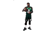 Panathinaikos Bc Paobc Sticker by 7000FM