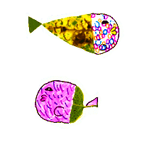 Fish Tank Sticker by Luis Ricardo