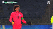 Liga Mx Football GIF by MiSelecciónMX