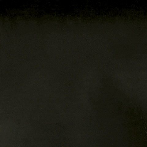 MotionCovers giphyupload weezer pinkerton motion covers GIF