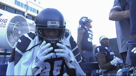NevadaWolfPack giphyupload football wolf pack unr GIF