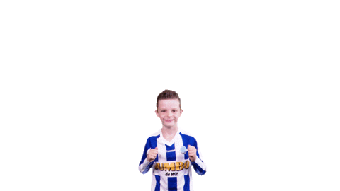 Voetbalvereniging_Scherpenzeel giphyupload sport voetbal bal Sticker