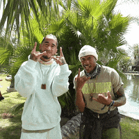 twitter twitter coachella social house festival vibes GIF