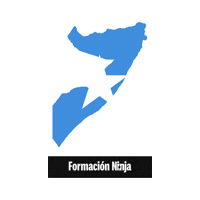 Flag Bandera Sticker by Formación Ninja