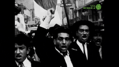 julianvivas giphygifmaker GIF