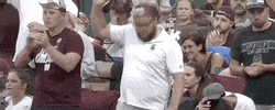World Series Baseball GIF by NCAA Championships