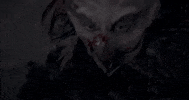 Halloween Bird GIF by Crypt TV