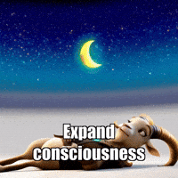 Wisdom Connection GIF by Radiantelope