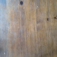 loop magic GIF by hazelst