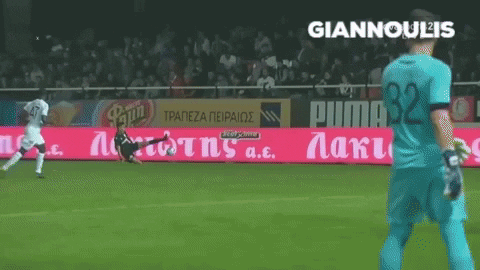 Football Paokfamily GIF by PAOK FC