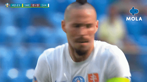 Euro 2020 Reaction GIF by MolaTV