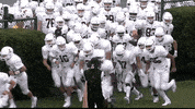 LafayetteLeopards football fire tunnel lafayette GIF