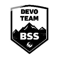 Pivot Devoteam Sticker by Bikesport Sasbachwalden