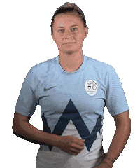 nzs_si soccer slovenia slovenija dominika Sticker