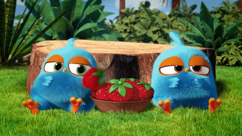 blues GIF by Angry Birds