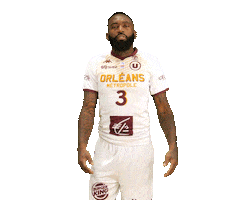 Warren Orleansloiretbasket Sticker by OLB