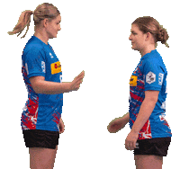 Handball Hello Sticker by HSG Blomberg-Lippe