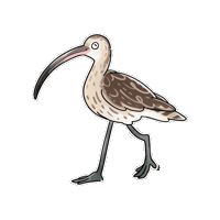 Eurasian Curlew Bird Sticker