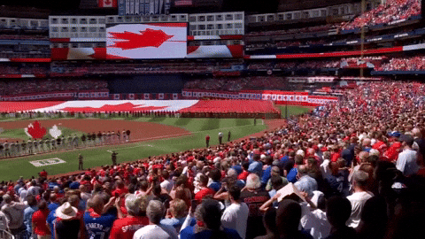 Canadian Baseball GIF by Toronto Blue Jays
