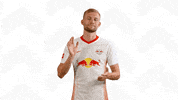 Konrad Laimer Aha GIF by RB Leipzig