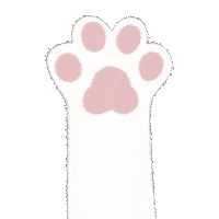 amorilustra cat cats pet tumblr Sticker