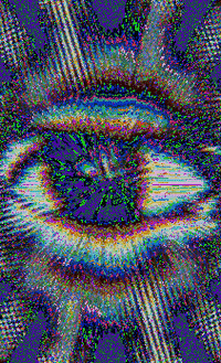 GIF by Leo Pyrata