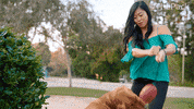 The Pack Dogs GIF by Amazon Prime Video