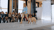The Pack Dogs GIF by Amazon Prime Video