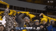 National Football League GIF by NFL