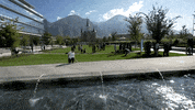 provo GIF by Nu Skin