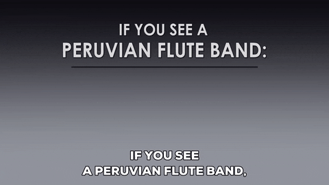 band flute GIF by South Park 