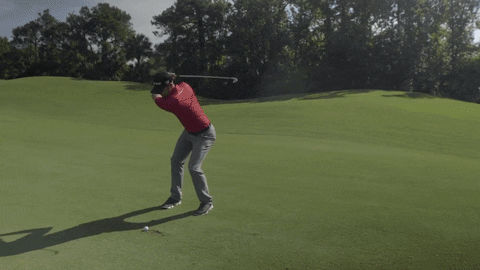sport golfing GIF by Wilson Golf