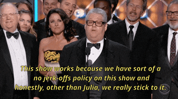 The Emmy Awards Veep GIF by Emmys