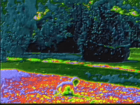 my baby GIF by MFD