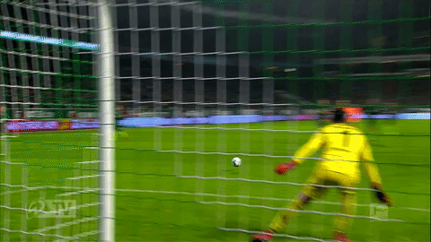 werder werderbremen GIF