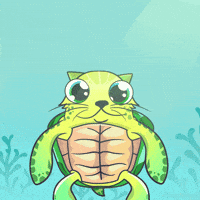 Cat Hug GIF by Flow