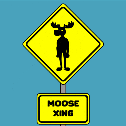 DoYouMoose giphyupload nft walking blockchain GIF