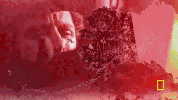 life below zero GIF by National Geographic Channel