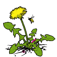 gruene_muenchen munchen gruene kommunalwahl katrin Sticker