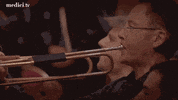 concert trumpets GIF