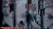 night eats the world horror GIF by Blue Fox Entertainment