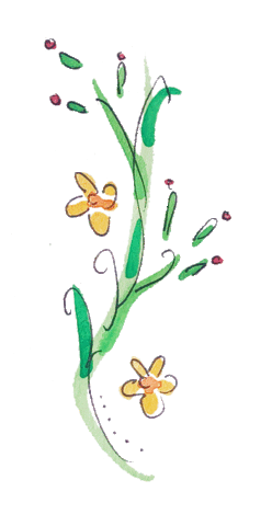 evakaynorrington giphyupload art nature pretty Sticker