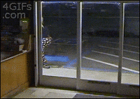 gifys GIF by The .GIFYS