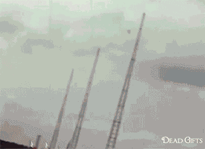 brian GIF by authorityoffice