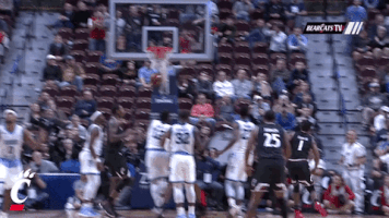 lets go bearcats GIF by University of Cincinnati Athletics
